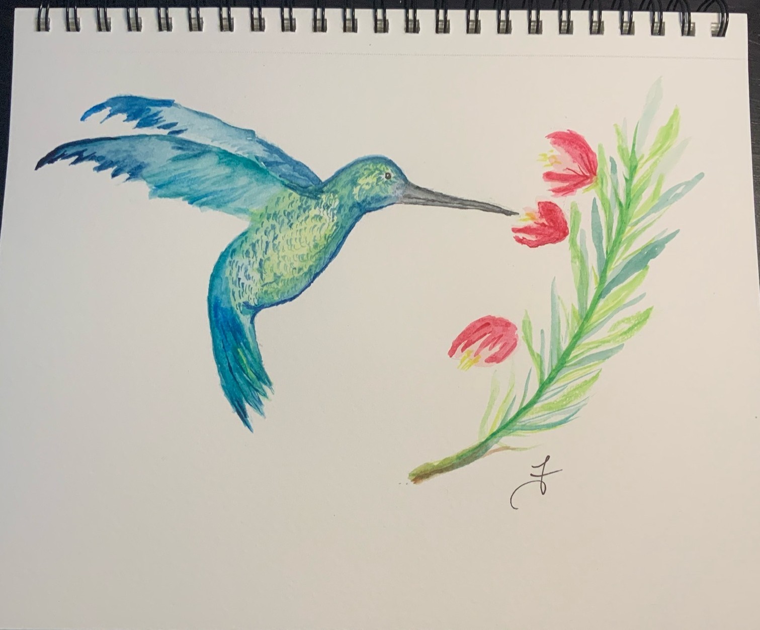 Birds Gallery