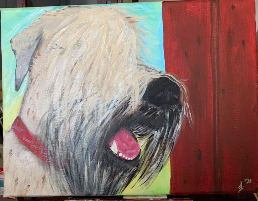 Dogs Gallery