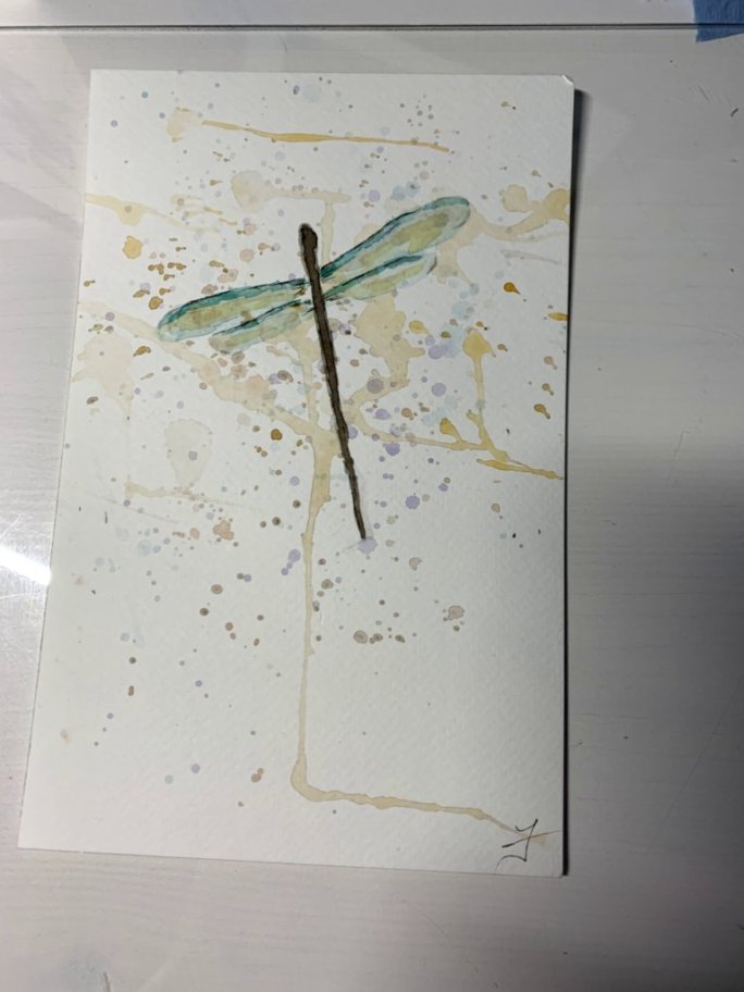 Insects Gallery