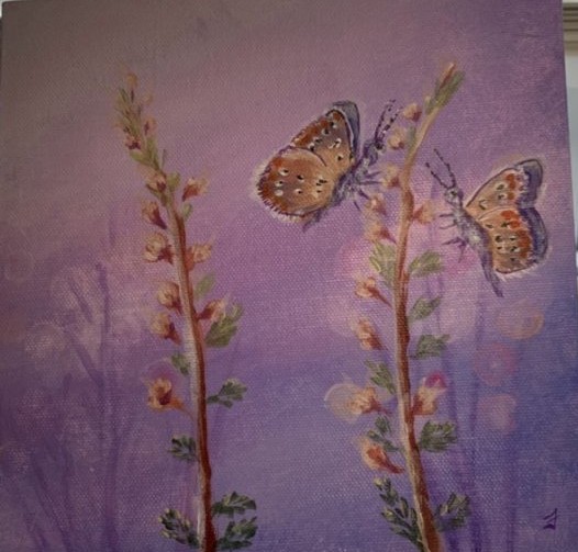 Acrylic Gallery